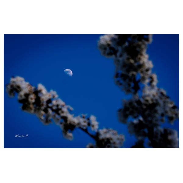 PHOTO84, CLUB, 84 , LUBERON